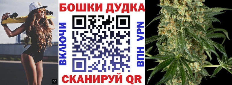 Каннабис план  как найти закладки  Касимов 
